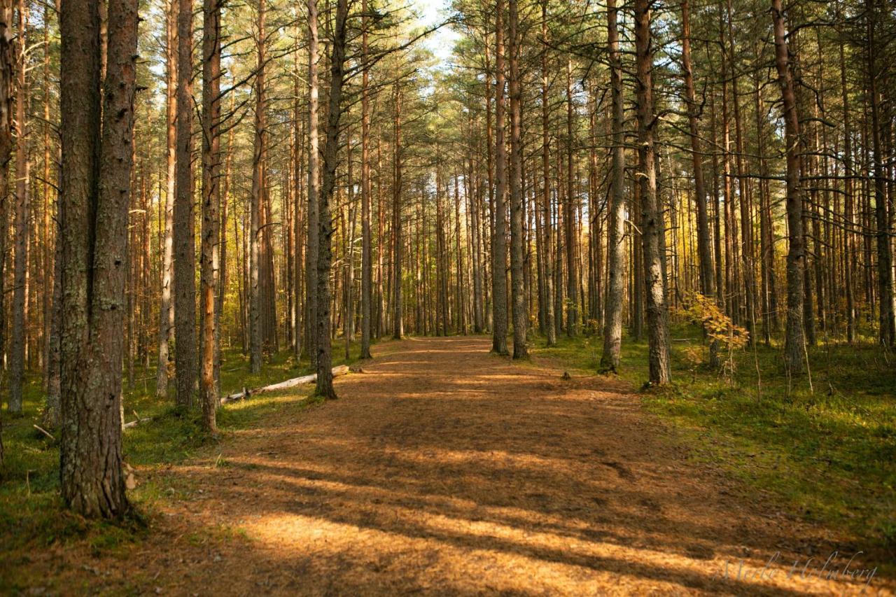 Lovely Nest In Nomme ทาลลินน์ ภายนอก รูปภาพ